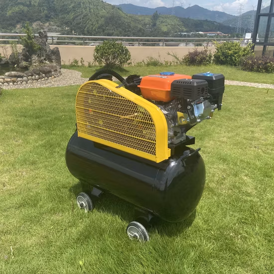 Fabbrica di compressori d'aria con trasmissione a cinghia a benzina Xinya 6.5HP 2065 Double Cyliner 100L